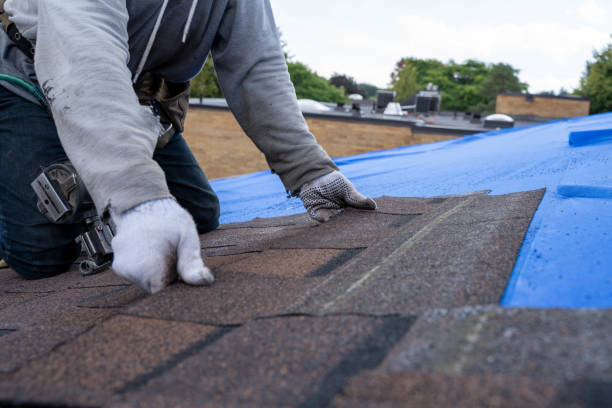 Sealant for Roof in Short Pump, VA